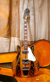 Fender Coronado II 1967 Wildwood