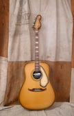 Fender Kingman 1968 Antigua