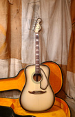 Fender Kingman 1968 Antigua 2