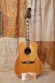 Fender Kingman 1968 Wildwood