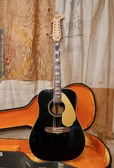 Fender Shenandoah 1969 Black