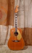 Fender Wildwood III 1966 Wildwood