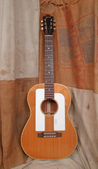 Gibson F-25 1964 Natural