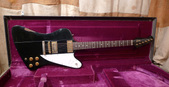 Gibson Firebird 1976 Black 4