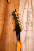 Enlarge photo 12