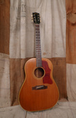 Gibson J-50 1964 Natural