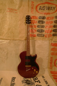 Gibson L6S 1976 Purple