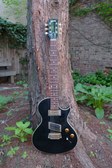 gibson nighthawk