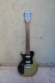 Gibson Sonex Lefty