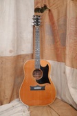 Grammer S-30 Guitar