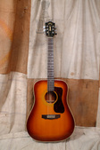 Guild D-40 1976 Sunburst
