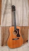 Guild D-44 1965 Natural