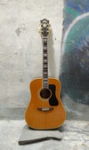 Guild D-55 1977
