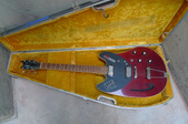 Guitorgan