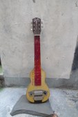 harmony Lap Steel