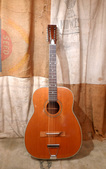 Harmony Sovereign 12 1960s Natural