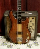 ibanez musician bass