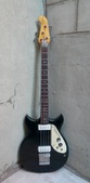 Microfrets Signature Bass