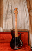 Music Man Stingray 1977 Walnut 2