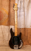 Music Man Stingray 1978 Mocha