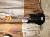 musicmaster basses