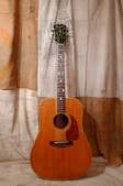 Premier Acoustic Guitar