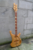 Rickenbacker 4001 Project