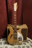 rickenbacker 370