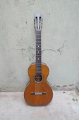 Washburn Acoustic Brazilian 1