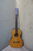 Washburn Aooustic Brazilian 2