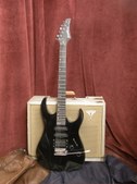 washburn black