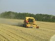 Enlarge photo 38