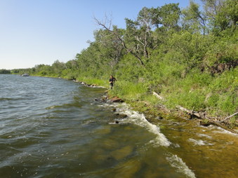 Enlarge photo 72