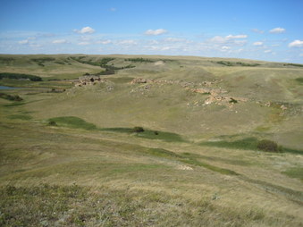 Enlarge photo 3