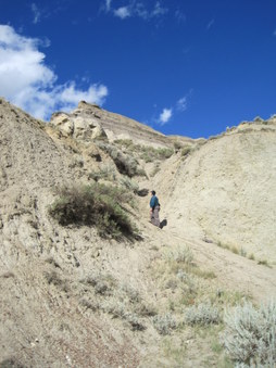 Enlarge photo 15