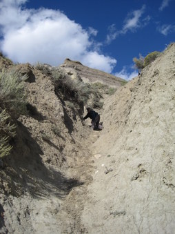 Enlarge photo 16
