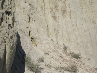 Enlarge photo 18