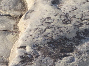 Enlarge photo 35