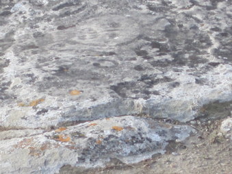 Enlarge photo 36