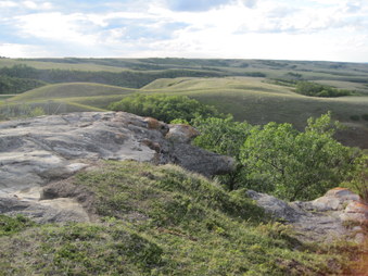 Enlarge photo 37