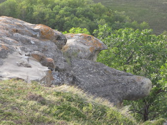 Enlarge photo 38