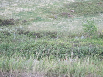 Enlarge photo 40