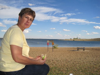 Enlarge photo 47
