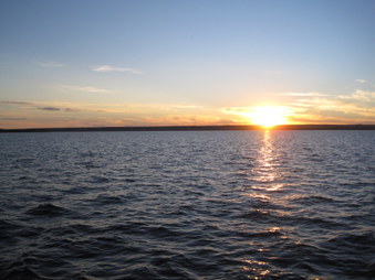 Enlarge photo 73