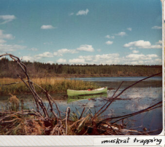 Enlarge photo 122
