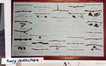 Enlarge photo 162