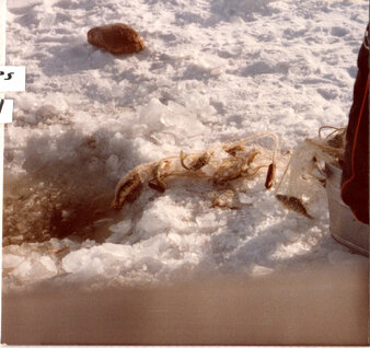 Enlarge photo 38