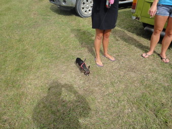 Enlarge photo 14