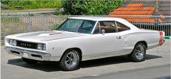 Enlarge photo 107