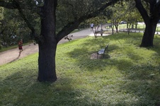 Enlarge photo 28